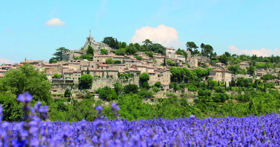 The Provence and the Luberon
