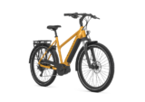Vente de vélos électriques - Gazelle Medeo T10 2
