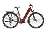 Vente de vélos électriques - FOCUS Planet² 6.8 1