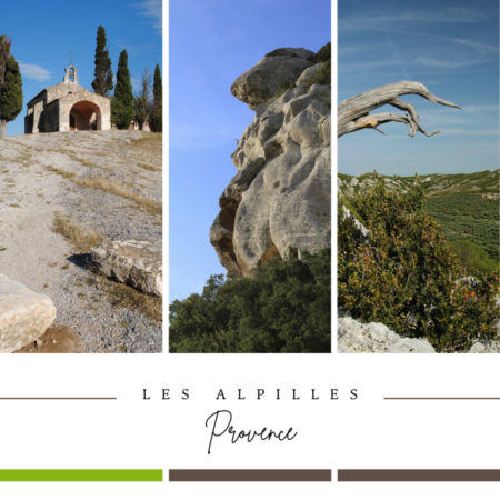 Découvrez les Alpilles à vélo avec Sun E Bike