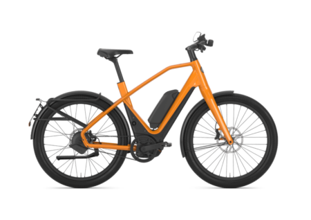 Gazelle N°1