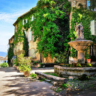 Tout savoir sur la Lavande du Luberon Tout savoir sur la Lavande du Luberon