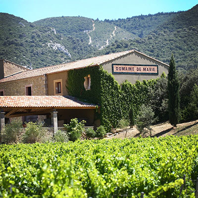 Les vins de Provence….un must à découvrir