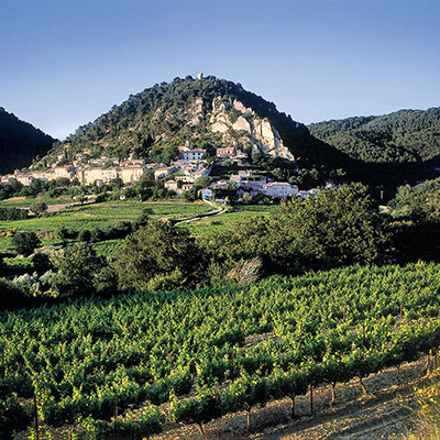 Les Vins de Provence.... un must à découvrir!