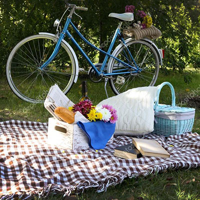 Picnic in the middle of a vineyard