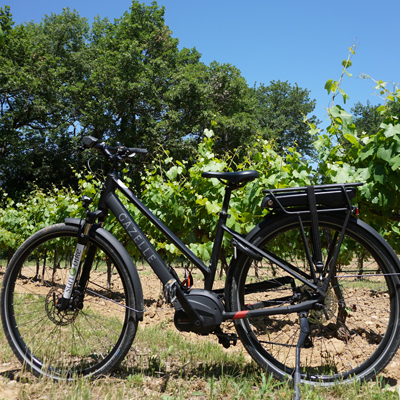 The Wineries from Uzès by bike