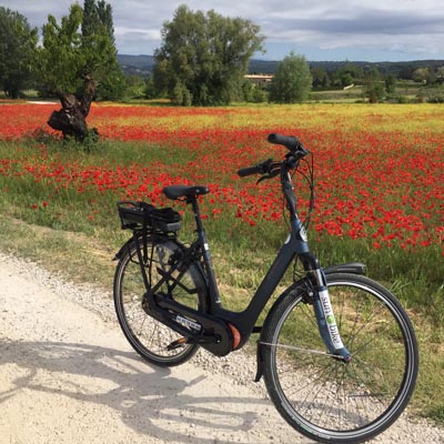 Le Luberon Le Luberon