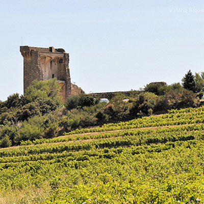 Weekend By Bike From Chateauneuf Du Pape Bike Trip Sun E Bike