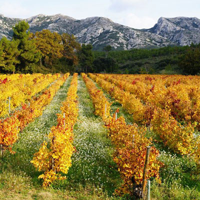 Les Alpilles et le Luberon Les Alpilles et le Luberon